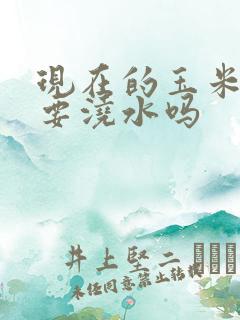 现在的玉米还需要浇水吗