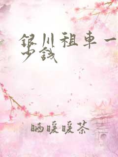 银川租车一般多少钱