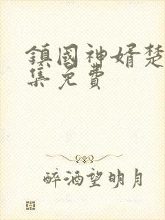 镇国神婿楚尘全集免费
