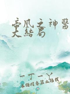 帝凰之神医弃妃大结局