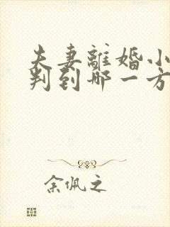 夫妻离婚小孩会判到哪一方