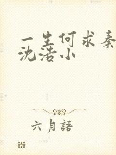 一生何求秦菲雪沈浩小