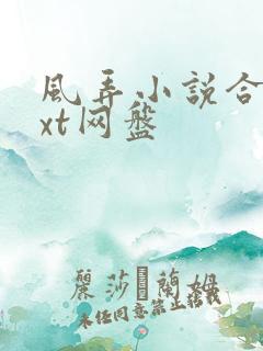 风弄小说合集txt网盘