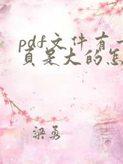 pdf文件有一页是大的怎么办
