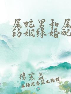 属蛇男和属兔女的姻缘婚配