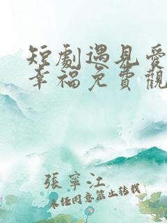 短剧遇见爱遇见幸福免费观看