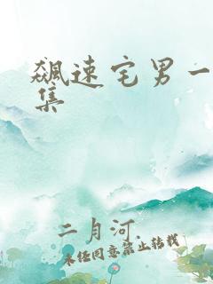 飙速宅男一共几集