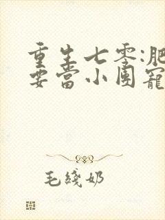 重生七零:肥妞要当小团宠 小说