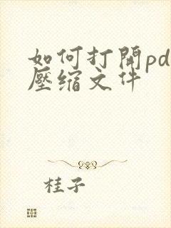 如何打开pdf压缩文件