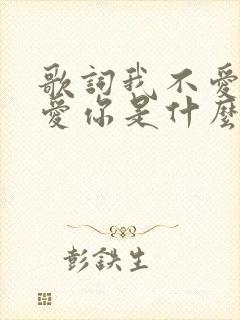 歌词我不爱你谁爱你是什么歌