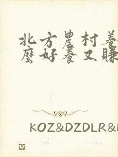 北方农村养殖什么好养又赚钱
