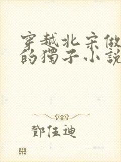 穿越北宋做赵祯的独子小说