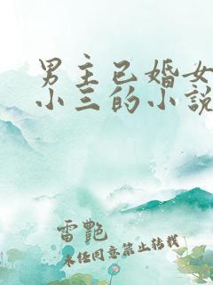 男主已婚女主是小三的小说