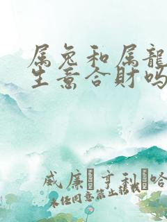 属兔和属龙的做生意合财吗