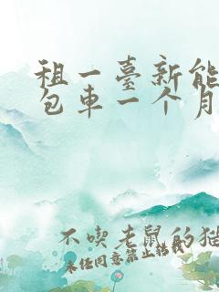 租一台新能源面包车一个月要多少钱