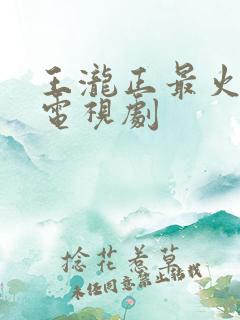 王泷正最火十部电视剧