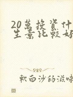 20万投资什么生意比较好