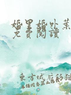 婚里婚外叶晓井免费阅读