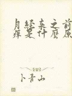 月经来之前外阴痒是什么原因