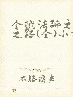 全职法师之女王之路(全)小说