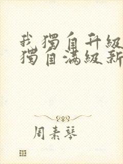 我独自升级和我独自满级新手