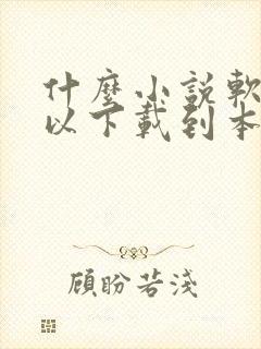什么小说软件可以下载到本地