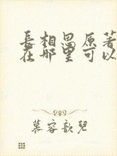 长相思原著小说在哪里可以看