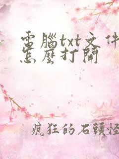 电脑txt文件怎么打开