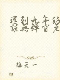 迟到九年的爱小说无弹窗免费阅读