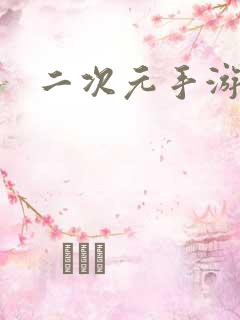 二次元手游公司