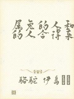 属兔的人和属虎的人合得来吗
