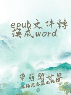 epub文件转换成word