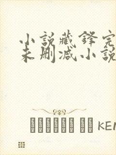 小说藏锋完整版未删减小说