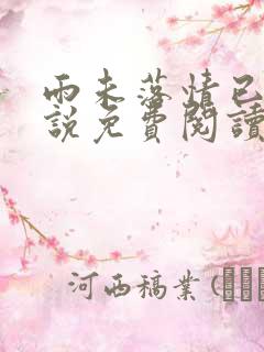 雨未落情已断小说免费阅读