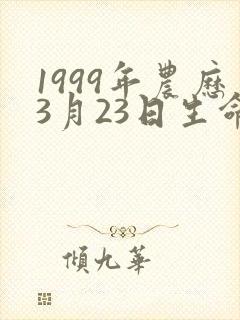 1999年农历3月23日生命运