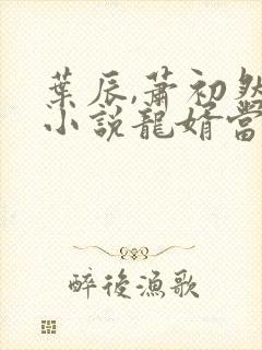 叶辰,萧初然的小说龙婿当道