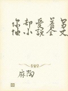 你却爱着另一个他小说全文免费阅读