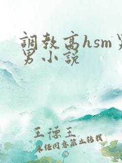 调教高hsm男男小说