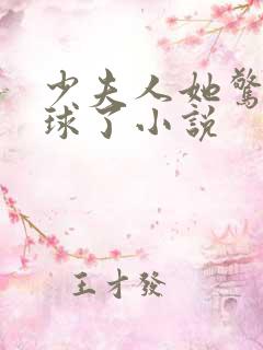 少夫人她惊艳全球了小说