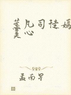 叶凡司徒嫣然林美心