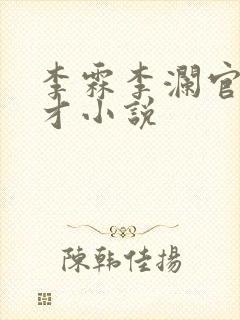 李霖李澜官场奇才小说