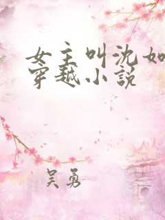 女主叫沈如意的穿越小说