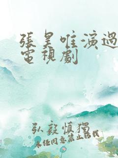 张昊唯演过哪些电视剧