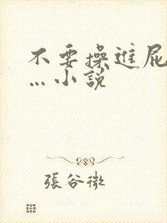 不要操进屁眼……小说