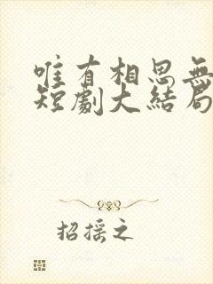 唯有相思无尽处短剧大结局