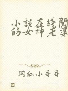小说在线阅读我的女神老婆