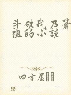 斗破我乃萧家老祖的小说