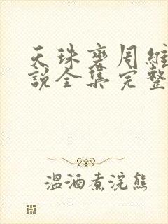 天珠变周维清小说全集完整版