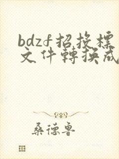 bdzf招投标文件转换成pdf