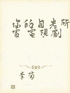 你的目光所及之处 电视剧